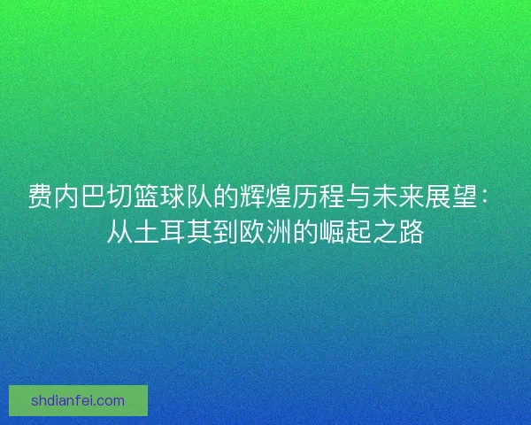 费内巴切篮球队的辉煌历程与未来展望：从土耳其到欧洲的崛起之路